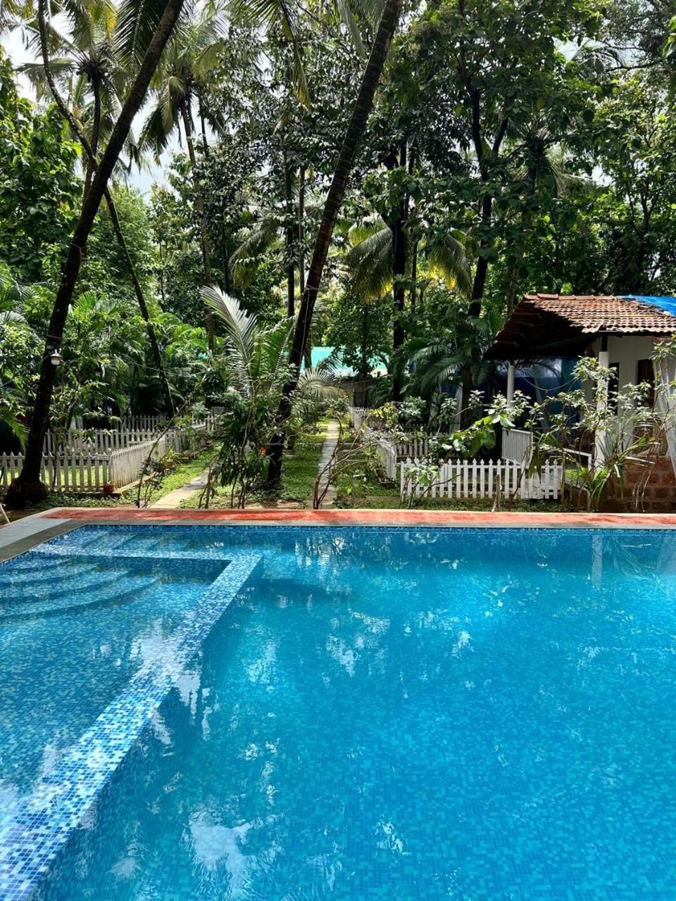 King Villa Goa بالوليم المظهر الخارجي الصورة